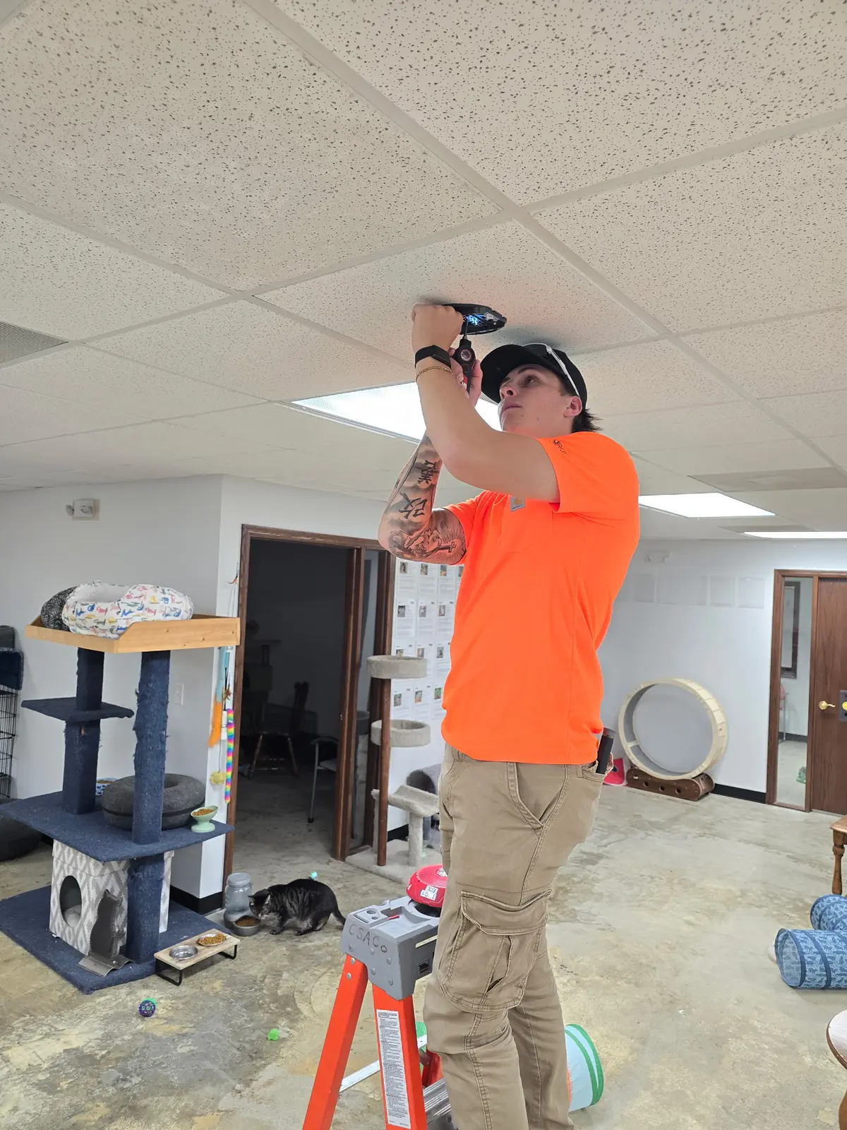 Christenberry Systems technician installing a ceiling-mounted fire alarm device at Cat's Meow in Normal Illinois